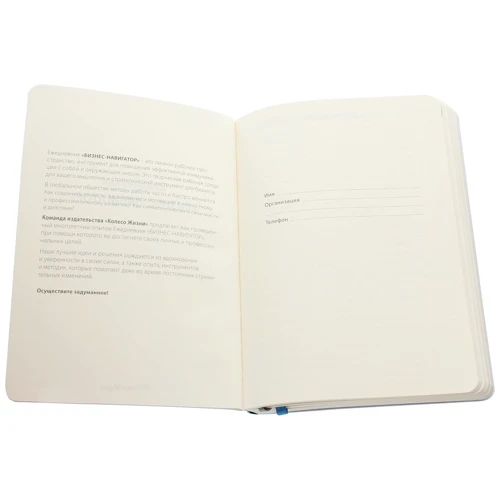 Ежедневник "Бизнес-навигатор" (бирюзовый): ISBN 4820000197106