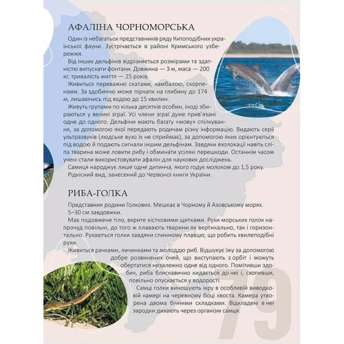 Тетяна Станкевич: Перлини природи України: Кількість сторінок 96