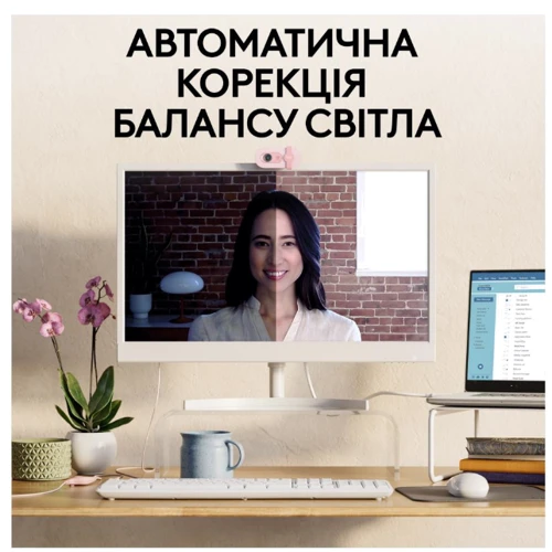 Logitech Brio 100 Full HD Webcam Rose (960-001623): Интерфейс подключения USB 2.0