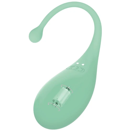 Смарт-виброяйцо Adrien Lastic Palpitation Mint с глубокой вибрацией