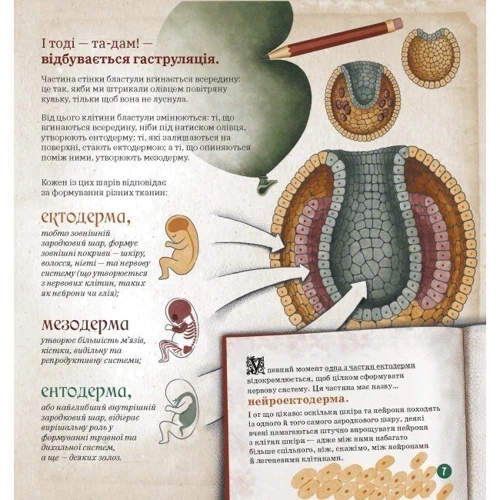 П. Барречеґурен, С. Рамон-і-Кахаль: Як працює людський мозок: Обкладинка Твердая