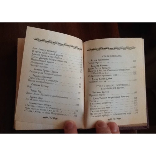 Разбойники, пираты, воры: Количество страниц 320