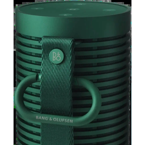 Акустика Bang&Olufsen Beosound Explore Green (1626004): Подключение Bluetooth / AUX