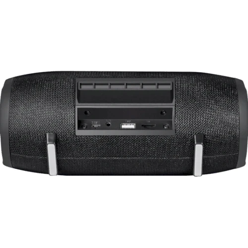 Акустика Defender Enjoy S900 Black: Тип портативная