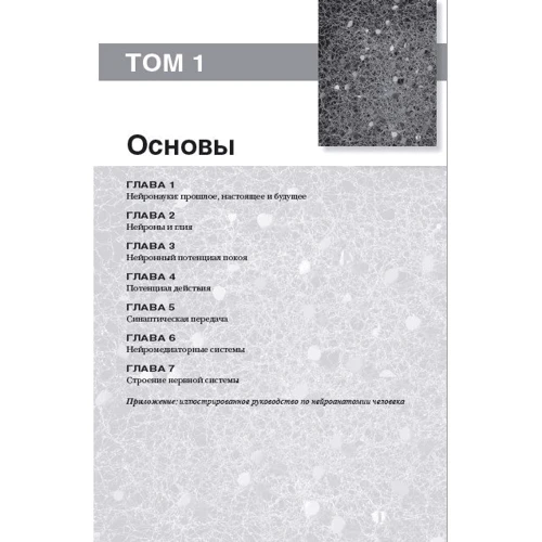 Беар, Коннорс, Парадізо: Нейронауки. Дослідження мозку. Том 1 (4-е видання): Автор Майкл Парадізо, Баррі Коннорс, Марк Беар