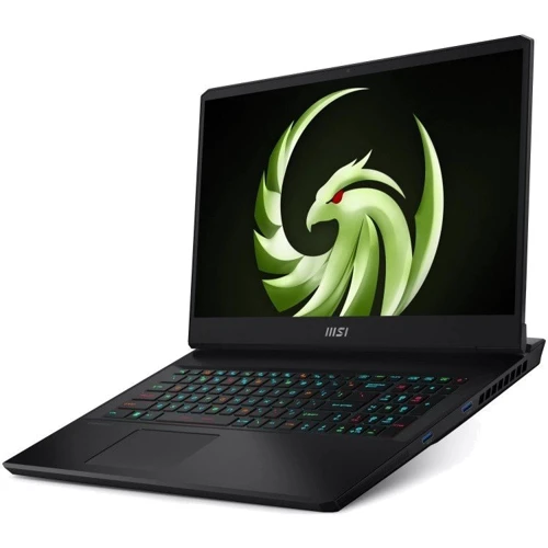 Ноутбук MSI Alpha 17 C7VF-006US (ALPHA17C7006): Тип екрану матовий