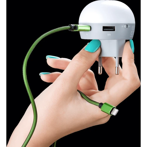 Ночник Ilumia 065 EOS Green 2xUSBx2,1A (LP5396): Производитель Ilumia