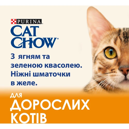 Влажный корм Purina Cat Chow Adult для взрослых котов кусочки в желе с ягненком и зеленой фасолью 5x85 г (7613036938334): Основные ингредиенты Фасоль, Ягненок