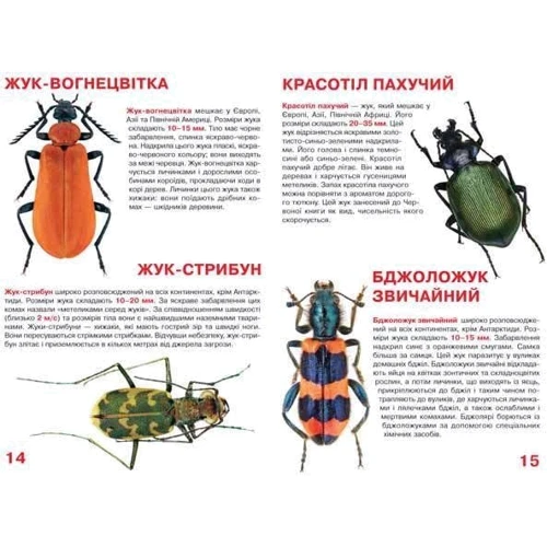 Велика книжка. Жуки: Производитель БАО