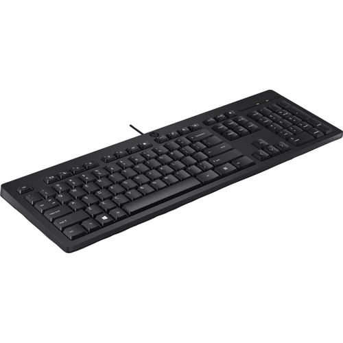 Клавиатура HP 125 Wired Keyboard (266C9AA): Интерфейс подключения USB
