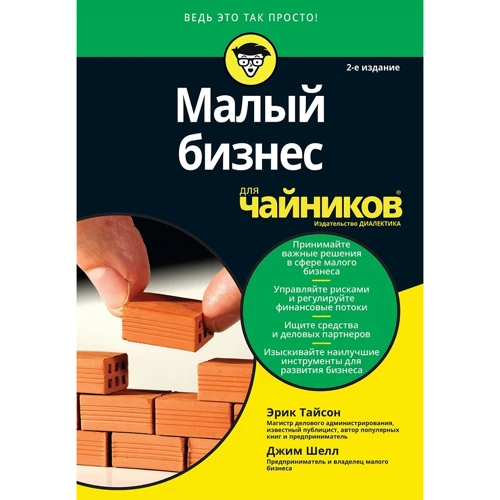 Ерік Тайсон, Джим Шелл: Малий бізнес для чайників (2-е видання)