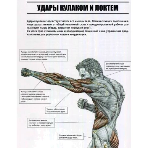 Фредерик Делавье, Майкл Гандил: Анатомия боя: Производитель Рипол Классик