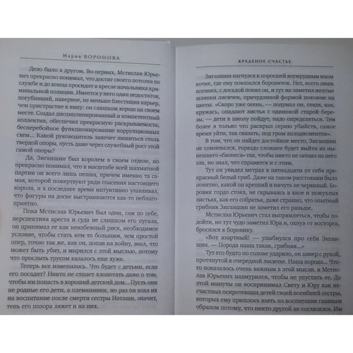 крадене щастя: Кількість сторінок 384