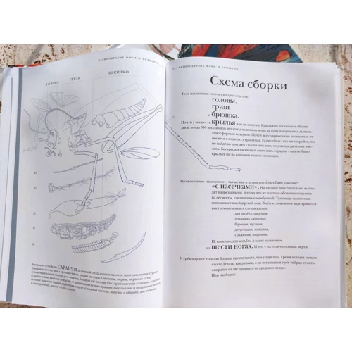 Барт Россель: Вражаючі комахи: Жанр Познавательная литература