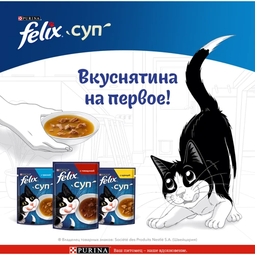 Влажный корм для котов Felix Soup GiG Суп с курицей 48 г (7613036632331): Порода Все породы
