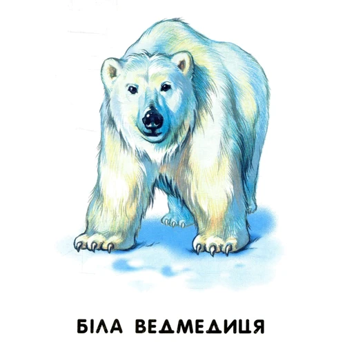 Мами й дитинчата: Обложка Картон