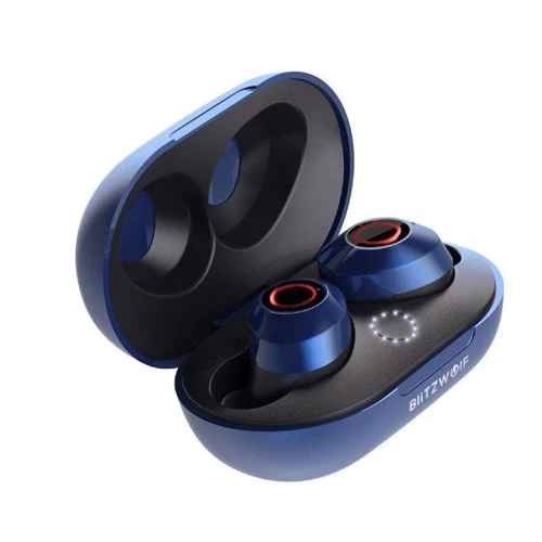 Наушники BlitzWolf FYE5 Blue: Тип конструкции вакуумные