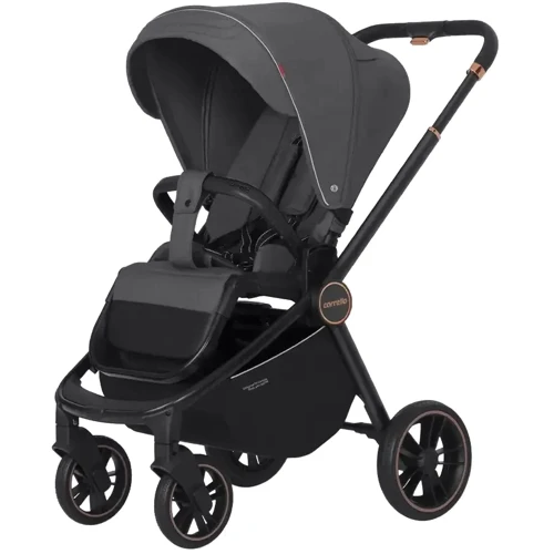 Универсальная коляска 2 в 1 Carrello Epica Iron Grey (CRL-8510/1 Iron Grey GT): Количество блоков 2