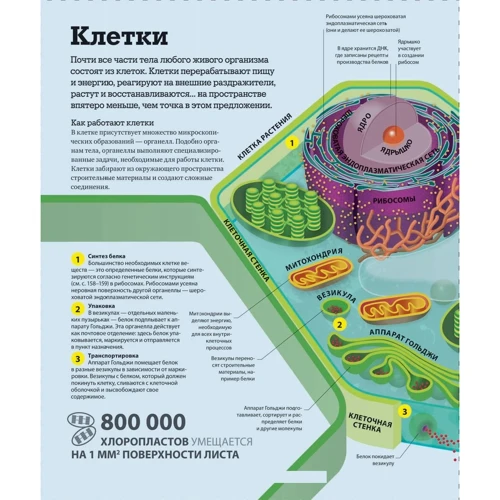 Как работает наука. Наглядные факты об устройстве нашего мира