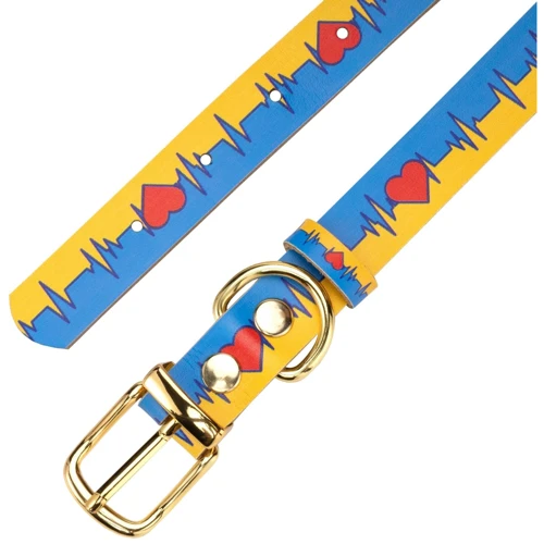 Нашийник шкіряний HiDog "Життя", розмір XL (ширина 30мм, обхват шиї 42-56см) (205/1033): Тип Обычные