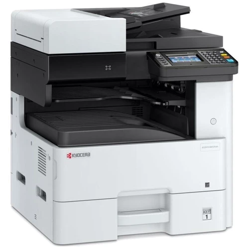МФУ Kyocera Ecosys M4125idn (1102P23NL0): Тип печати черно-белая