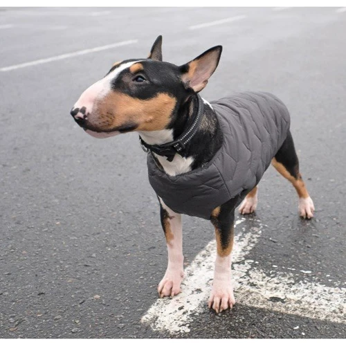 Жилет Pet Fashion E.Vest серый XS-2 (4823082424368): Длина спины 26-28 см