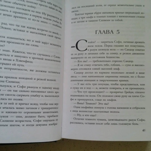 Шеннон Мессенджер: Полёт на единороге: Количество страниц 480