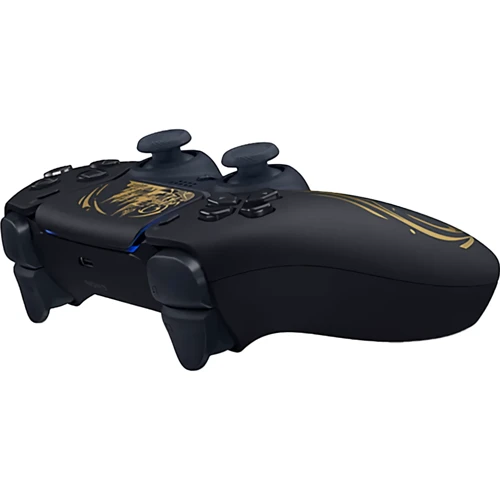 Аксессуар для приставок Sony DualSense Hogwarts Legacy Limited Edition (Case) фото 3