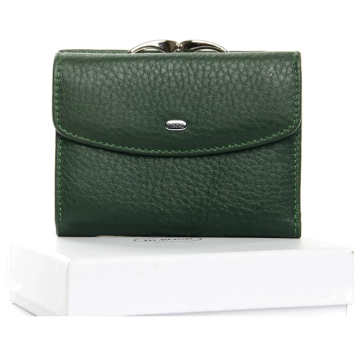 Женский кошелек Dr. Bond 32754 зеленый (dark-green)