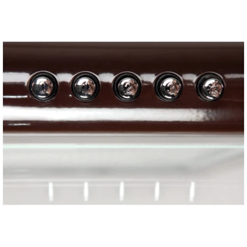 Вытяжка ELEYUS BONA ІІ LED SMD 60 BR: Тип монтажа Настенный
