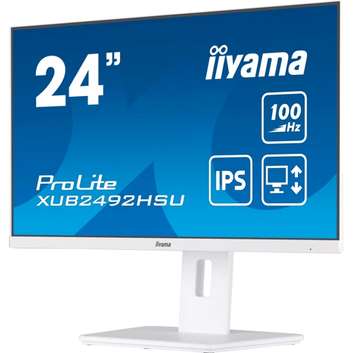 Монитор iiyama XUB2492HSU-W6: Формат изображения 16:9