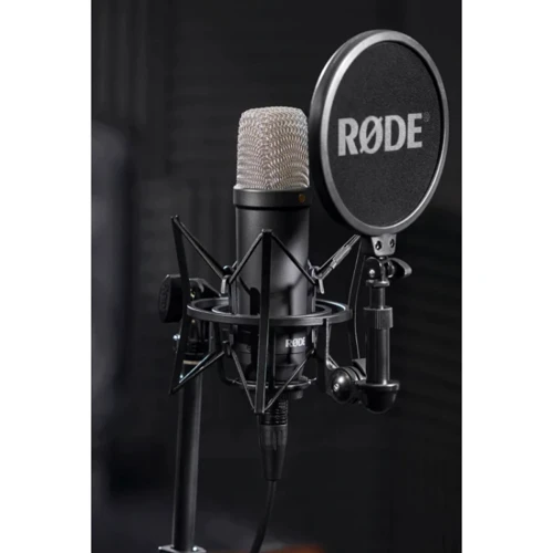 Микрофон RODE NT1 SIGNATURE BLACK: Способ подключения Проводной