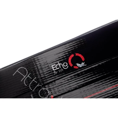 Лижі Rossignol Attraxion 3 S ECHO XELIUM W + SAPHIR 110 S (2012/2013): Стать жіночий
