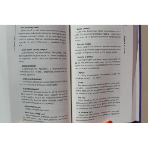 Анастасия Полосина: Что такое Чили: ISBN 978-5-386-10478-8
