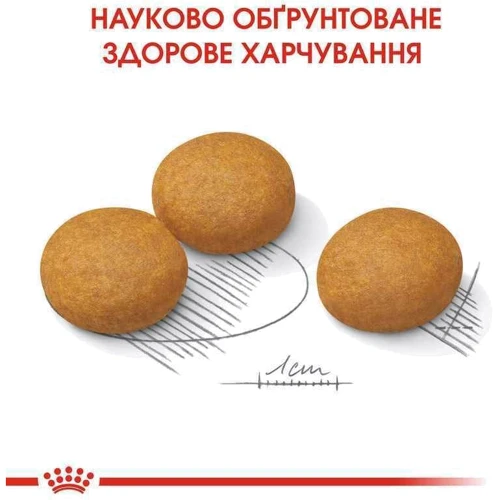 Сухой корм Royal Canin Dermacomfort Maxi Adult для собак с проблемной кожей 12 кг (24441209): Свойства Для привередливых собак, Гипоаллергенный, Забота о коже и шерсти, Основное питание