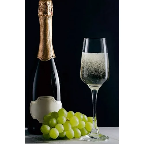 Бокал Versailles Набор для шампанского Lille 230 мл 6 шт (VS-5230)