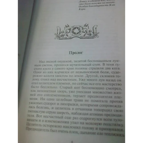 Эрин Хантер: Коты-воители. Бушующая стихия: Жанр Детская фантастика и фэнтези