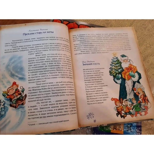 Золотов, Драгунский, Аким: Новый Год. Жутко запутанное дело фото 6
