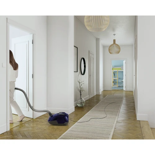 Пылесос Electrolux SilentPerformer ESP74DB: Максимальная мощность 650 Вт