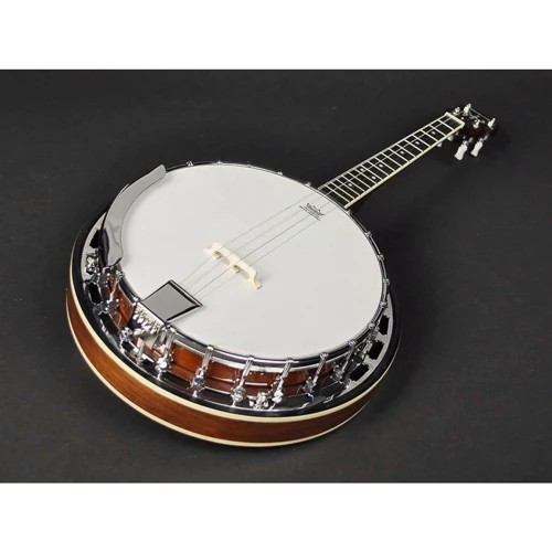 Банджо Richwood RMB-604-SS