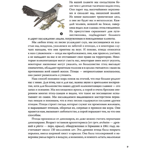 Марк Ейвері: Чудові птиці: Кількість сторінок 240