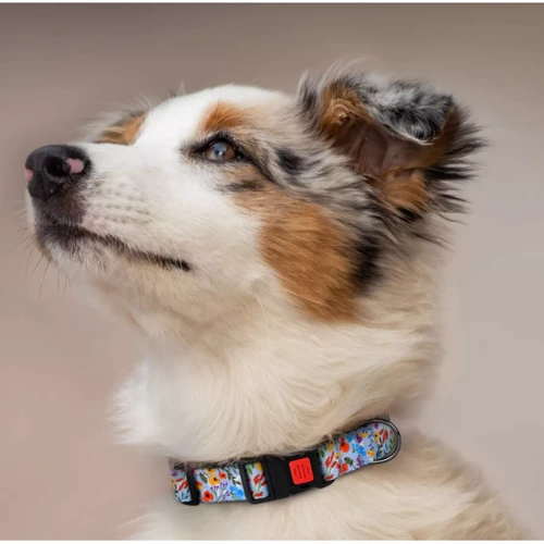Нашийник HiDog Flowers blue L 25 мм 35-45 см різнокольоровий (104\1018): Колір разноцветный