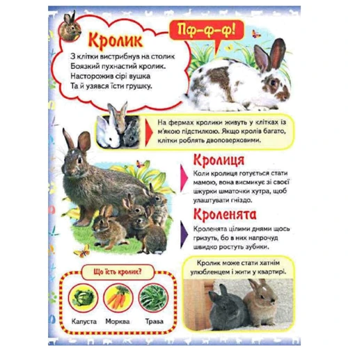 Моя перша книга. Про свійських тварин: Обложка Твердая
