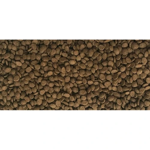 Корм для всіх видів водяних черепах Dajana Turtle Chips у чіпсах 250 мл/100 г (DP154B (5828)): Призначення Для всеядных рептилий