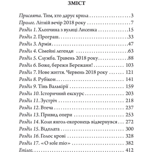 Ольга Ваккаус: Валькірія. Детективна аґенція ВО: Обкладинка Твердая
