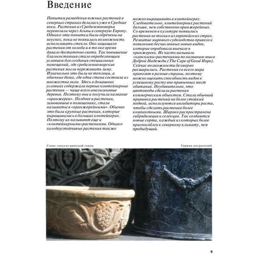 Ілюстрована енциклопедія. Рослини в горщиках фото 7