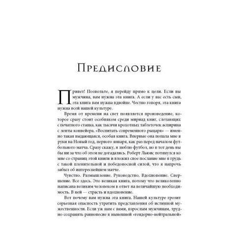 Роберт Льюїс: Виховати сучасного лицаря: Обкладинка М'яка