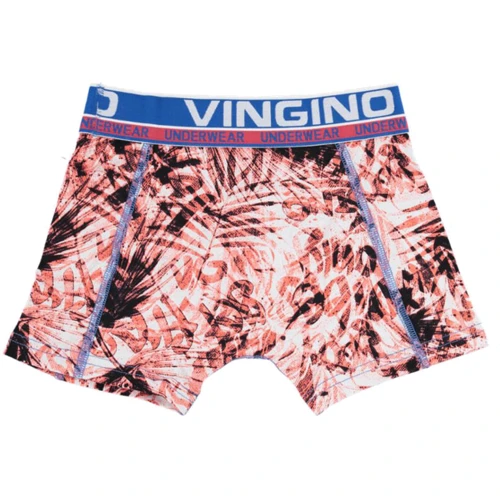 Труси Vingino 1872501 122-128 см різнокольорові: Тип Труси