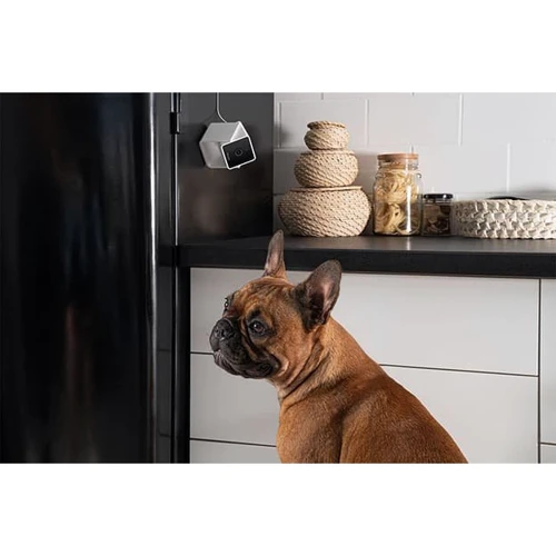 Компактна HD-камера Petcube Cam з нічним баченням та двостороннім аудіозв'язком фото 8