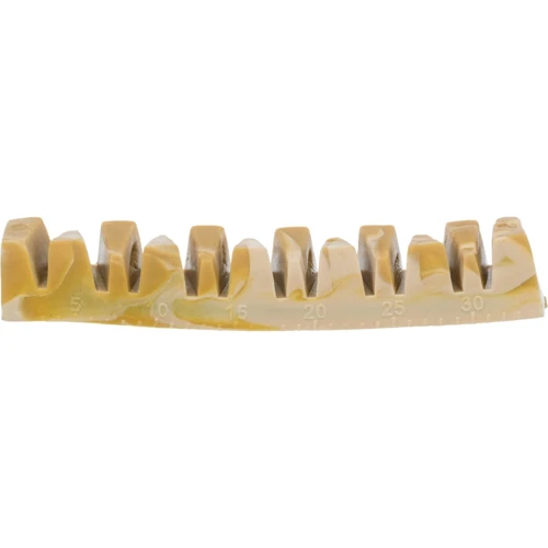 Лакомства для собак Trixie Denta Fun Veggie Челюстная кость 22 см 85 г 5 шт (2700000044070) фото 8